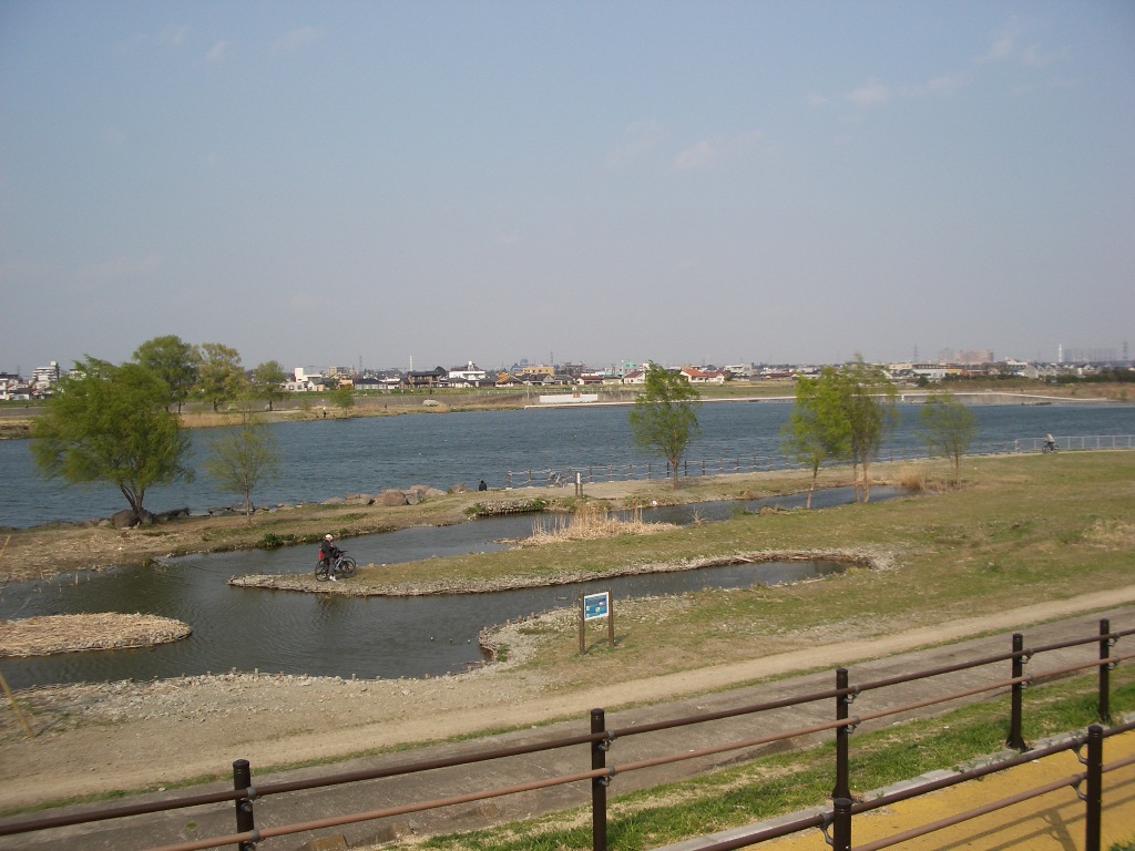 二ケ領宿河原堰上流のワンド