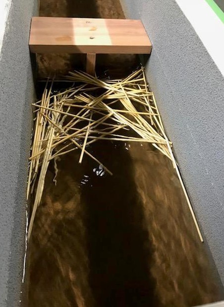 流木による河道閉塞の実験