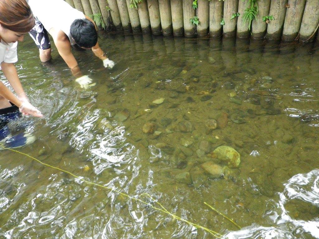 水路底面の人力浄化法の検討